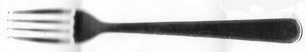 CKF8 (Stainless) Fork