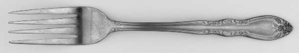 CUS24 (Stainless) Fork