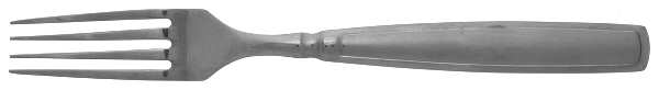 CBS138 (Stainless) Fork