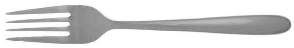 Kayden (Stainless) Individual Salad Fork