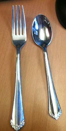 Janelle Mirror (Stainless) Fork