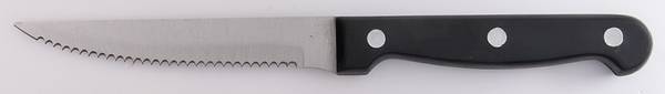 Sand Script (Stainless) Plastic Handle Individual Steak Knife