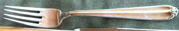 CDW13 (Stainless) Fork