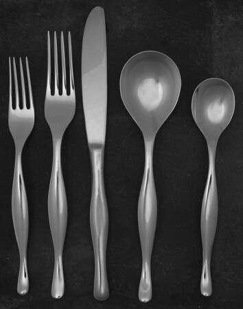 Eva (Stainless) 5 Piece Place Setting
