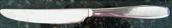 CBS164 (Stainless) Modern Solid Knife