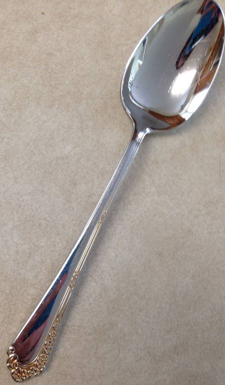 CBS166 (Stainless) by Cambridge Silver
