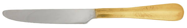 Devi-Brass (Stainless) New French Solid Knife