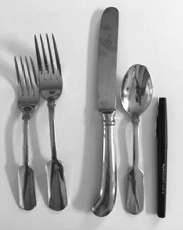 CBS180 (Stainless) by Cambridge Silver