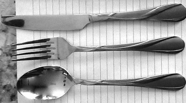 CBS200 Stainless by Cambridge Silver
