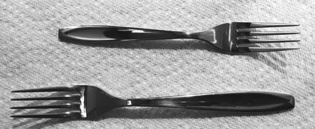 Seine (Stainless) by Cambridge Silver