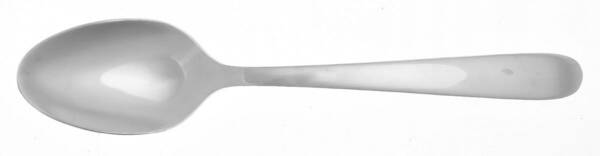 Haledon (Stainless) Teaspoon