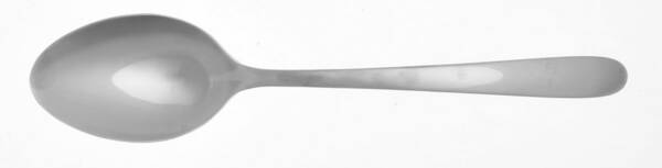 Haledon (Stainless) Tablespoon (Serving Spoon)
