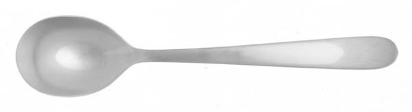 Haledon (Stainless) Sugar Spoon