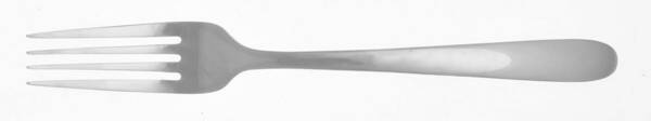 Haledon (Stainless) by Cambridge Silver
