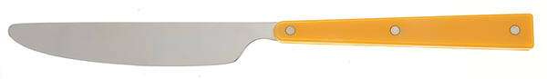 Rhumba (Stainless) New French Solid Knife