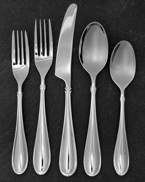 Alpha (Stainless) 5 Piece Place Setting