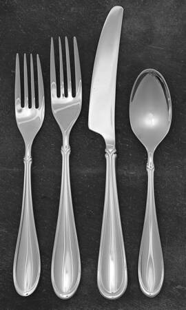 Alpha (Stainless) 4 Piece Place Setting
