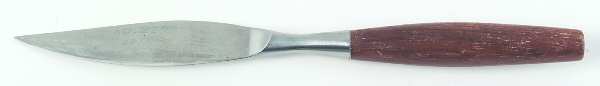 Fjord (Stainless, Germany) Individual Fruit Knife with Stainless Blade