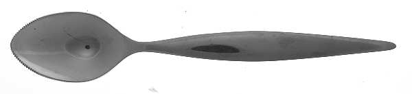 Thorn (Stainless) Fruit/Orange Spoon