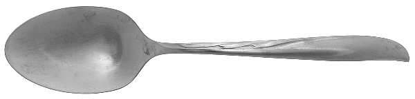 DCS2 (STAINLESS) Tablespoon (Serving Spoon)