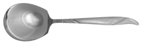 DIX5 (STAINLESS) Solid Smooth Casserole Spoon