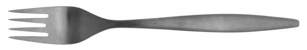 Braque (Stainless) Fork
