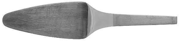 Picasso (Stainless, Satin) All Stainless Pie Server