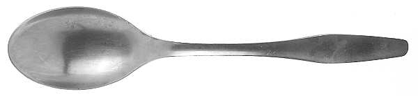 DNS3 (STAINLESS) Tablespoon (Serving Spoon)