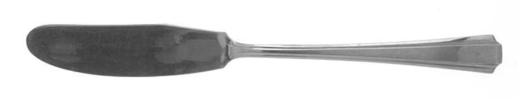 DS10 (STAINLESS) Flat Handle Master Butter Knife