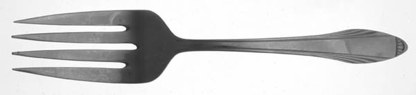 DSC2 (STAINLESS) Medium Solid Cold Meat Serving Fork