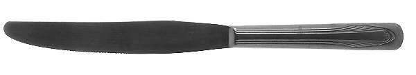 DSC2 (STAINLESS) Modern Solid Knife
