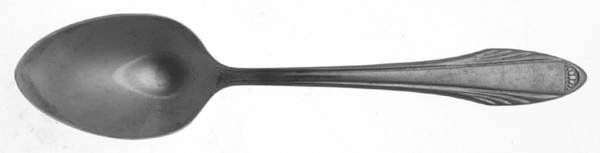 DSC2 (STAINLESS) Demitasse Spoon
