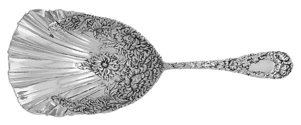 Chrysanthemum (Sterling, 1893) Cracker Spoon