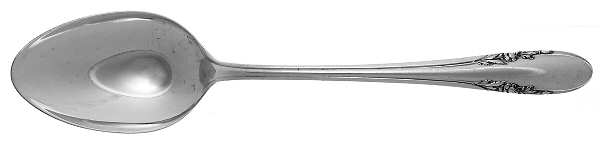 Fashion Lane (Sterling) Teaspoon
