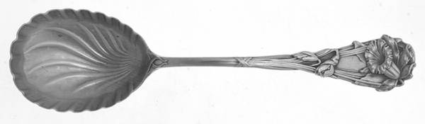 Jonquil (Sterling, 1898) Sugar Shell Spoon