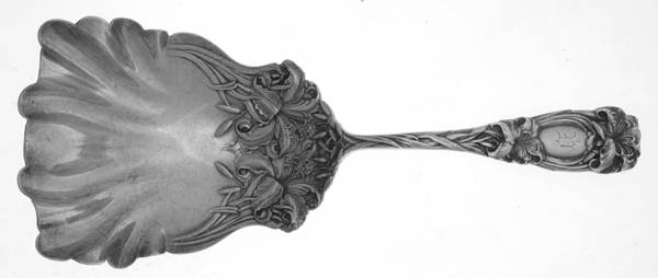 New Art (Sterling, 1899) Cracker Spoon