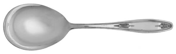Ds Five (Silverplate) Solid Smooth Casserole Spoon