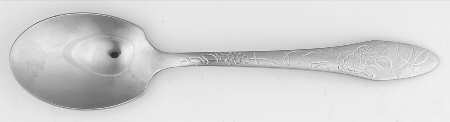 DS16 (Stainless) Sugar Spoon