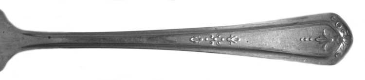 DS13 (SILVERPLATE) by DS