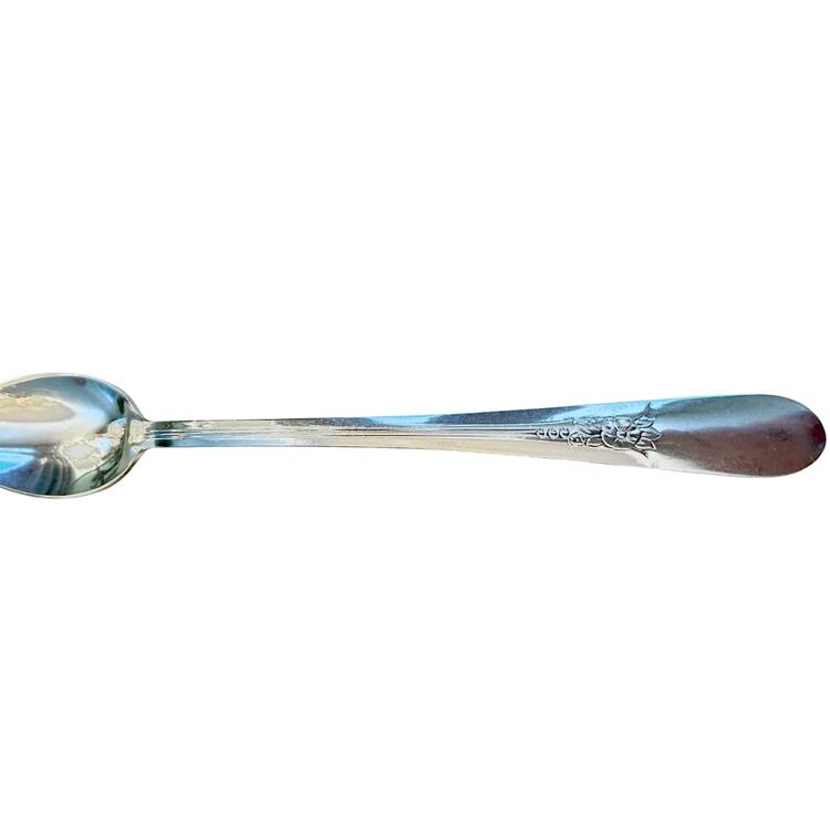 DS19 (STAINLESS) Iced Tea Spoon