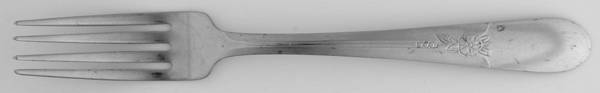 DS19 (STAINLESS) by DS