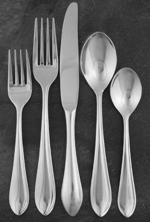Salerno (Stainless) 5 Piece Place Setting