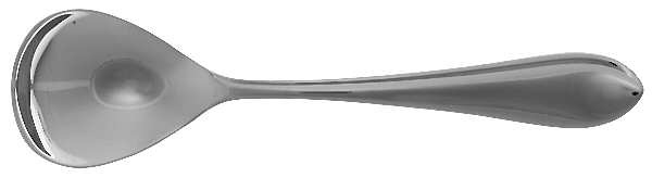 Salerno (Stainless) Sugar Spoon