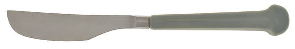 Regency-Pale Blue (Stainless) New French Hollow Knife