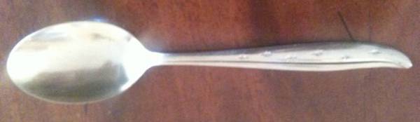 DIX12 (Stainless) Teaspoon