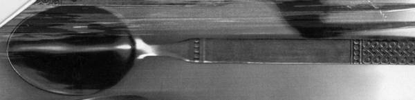 DAS51 (Stainless) Tablespoon (Serving Spoon)