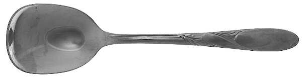 Brooklea (Stainless) Sugar Spoon