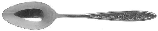 Country Garden (Stainless) Fruit/Orange Spoon