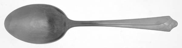 EKS19 (STAINLESS) Tablespoon (Serving Spoon)