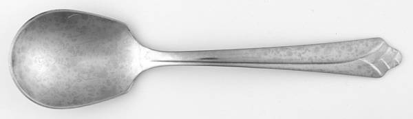 EKS19 (STAINLESS) Sugar Spoon